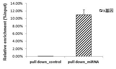 辉骏生物miRNA pull down qPCR检测结果（阳性）